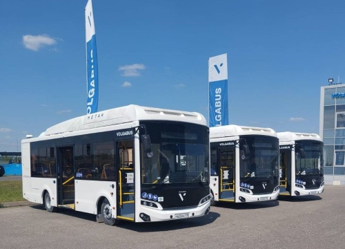 В Гатчину отправились новые автобусы «Volgabus».